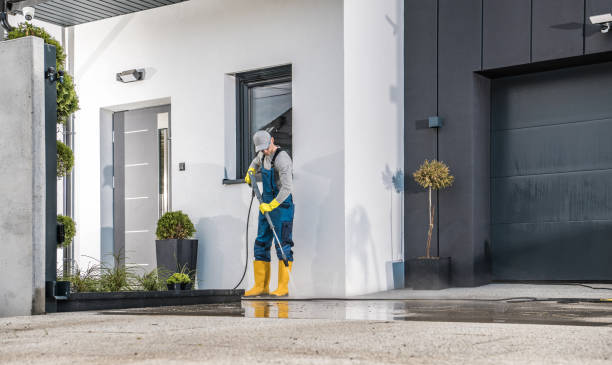 Best Paint Preparation  in Flemington, NJ